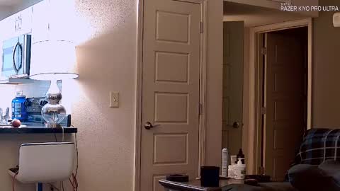 Snapshot of dilldough405 chatting on 09/21/25, 01:18 Dilldough405 online show from 09/21/25, 01:18