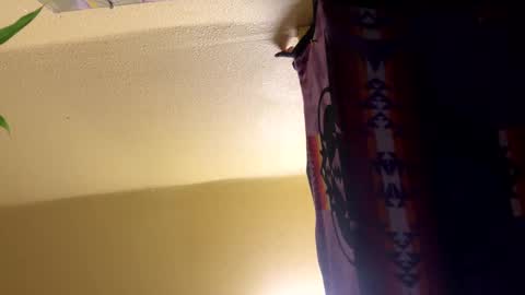 dimepiecebottom online show from 12/08/24, 01:47