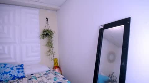 DINA online show from 06/24/26, 07:02