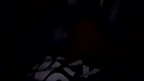 Snapshot of dingler523482 chatting on 11/29/25, 04:54 dingler523482 online show from 11/29/25, 04:54