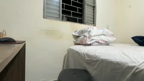 Snapshot of dinhoo14 chatting on 11/29/25, 12:46 dinhoo14 online show from 11/29/25, 12:46