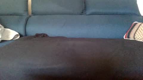 Snapshot of dinnerout1111 chatting on 02/17/25, 08:52 dinnerout1111 online show from 02/17/25, 08:52