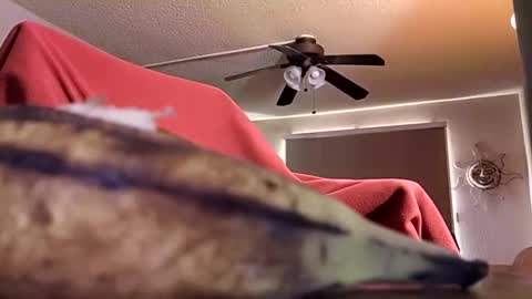 DIPSTIK online show from 10/09/25, 06:17