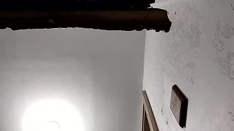 dixonbird41 online show from 02/18/25, 03:54