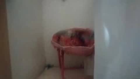 dixonbird41 online show from 10/06/25, 10:12