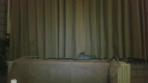 Snapshot of djensenhc chatting on 01/11/26, 11:32 djensenhc online show from 01/11/26, 11:32