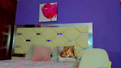 Snapshot of dollcute_latin chatting on 04/15/26, 09:16 dollcute_latin online show from 04/15/26, 09:16