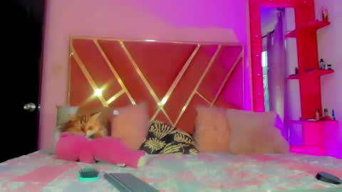 Snapshot of dollcute_latin chatting on 05/01/26, 10:03 dollcute_latin online show from 05/01/26, 10:03