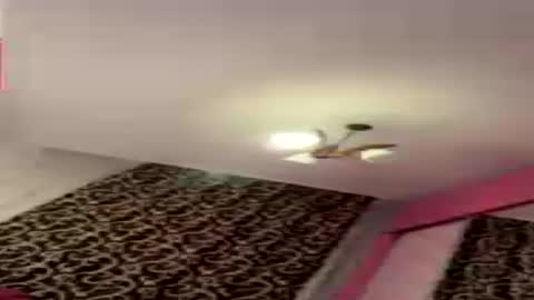 dollpetal online show from 07/21/26, 06:43
