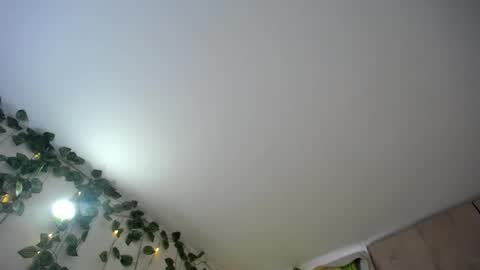 dominic_sofia online show from 06/18/26, 12:09
