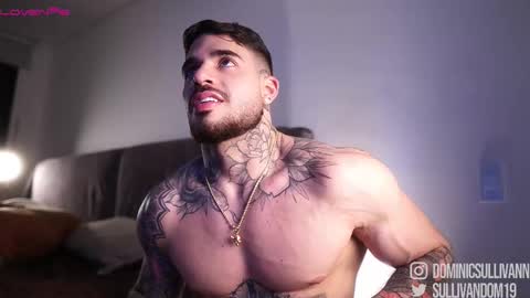 Snapshot of dominic_sullivan1 chatting on 11/24/25, 02:44 Dominic Sullivan online show from 11/24/25, 02:44