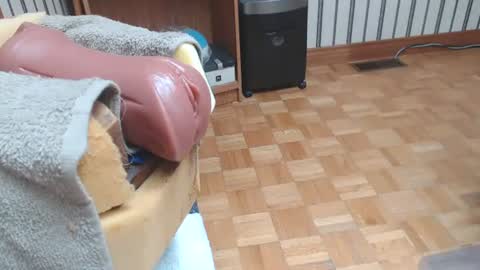 Don online show from 08/01/26, 05:45