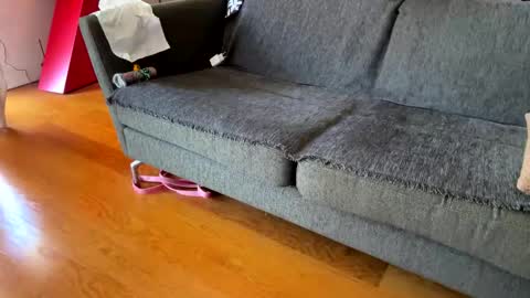 Alfredo online show from 09/24/25, 08:39