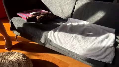 Alfredo online show from 12/02/25, 11:59