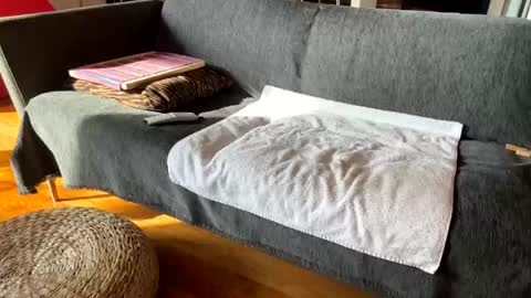 Alfredo online show from 12/03/25, 11:19