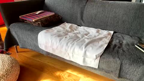 Alfredo online show from 12/04/25, 10:13