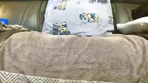 Snapshot of doorguy6954 chatting on 11/14/25, 03:16 LuvmycockTS69 online show from 11/14/25, 03:16