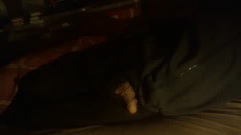 Snapshot of dorsetbiker714 chatting on 01/13/25, 03:34 Hello welcome to Slutsville I am the Naked Chef really but you may call me Peter online show from 01/13/25, 03:34