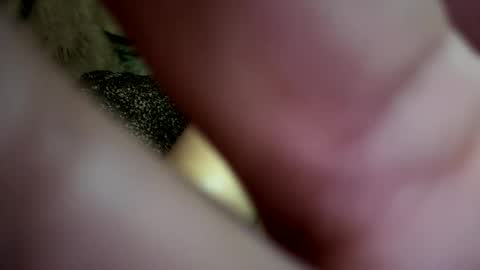 Snapshot of dove_love22 chatting on 11/21/25, 02:43 dove_love22 online show from 11/21/25, 02:43