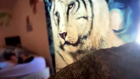 Snapshot of dove_love22 chatting on 11/21/25, 08:40 dove_love22 online show from 11/21/25, 08:40