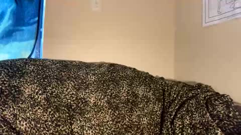 Snapshot of dove_love22 chatting on 11/30/25, 09:19 dove_love22 online show from 11/30/25, 09:19