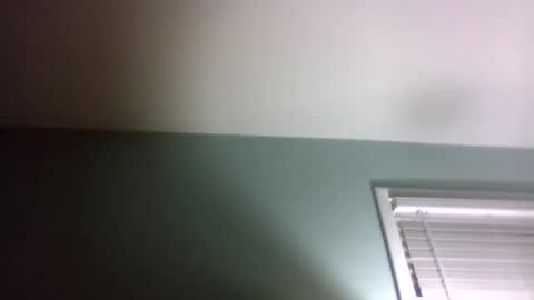 dowbo online show from 01/24/25, 05:10