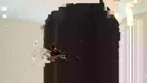 Dread online show from 03/10/25, 11:10