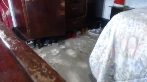 dreamreal online show from 12/28/24, 09:52