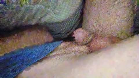 drew8649890274 online show from 11/03/25, 03:41