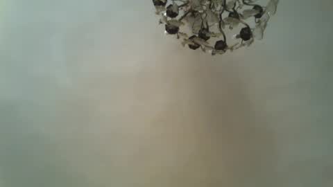 Snapshot of drfillgood chatting on 06/20/26, 11:02 Dr Fill online show from 06/20/26, 11:02