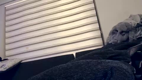 drippinggenie online show from 12/26/24, 05:08