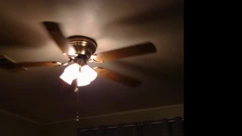 WetFilipinaPussy online show from 11/09/25, 11:58