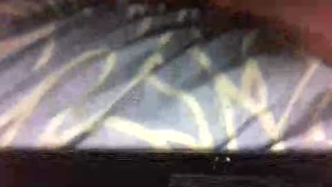 drippydickboy online show from 11/08/25, 05:07