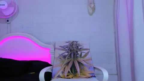 drippyorlove online show from 11/05/25, 08:31