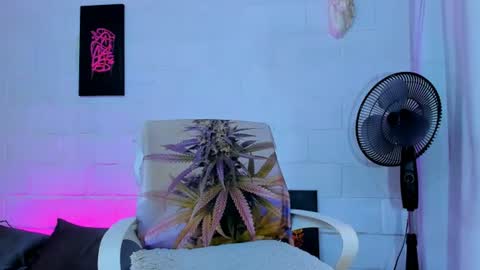 drippyorlove online show from 07/24/26, 01:53