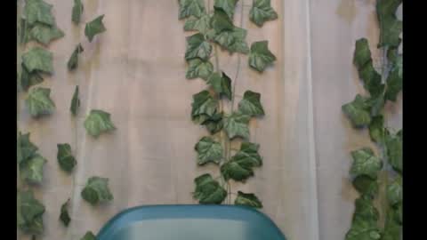 linda online show from 09/16/25, 03:02