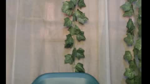 linda online show from 09/29/25, 12:21