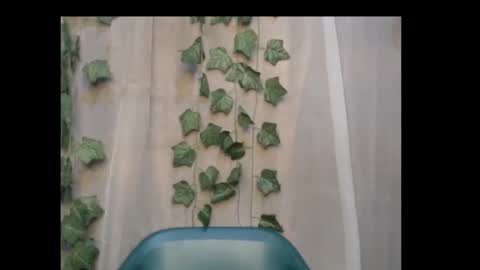 linda online show from 10/08/25, 11:57