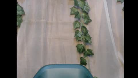 linda online show from 11/12/25, 01:50