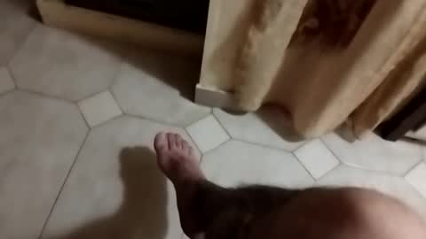 Snapshot of dthedog12 chatting on 09/23/25, 09:51 dthedog12 online show from 09/23/25, 09:51