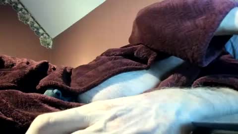 Snapshot of dug38 chatting on 11/16/25, 03:01 Doug online show from 11/16/25, 03:01