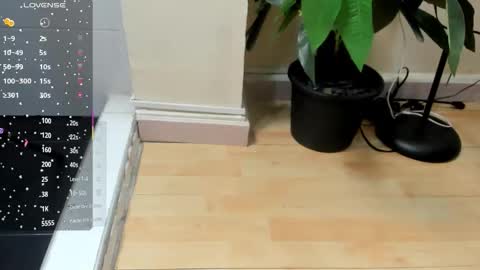 dulce__fiore07 online show from 11/28/25, 11:46