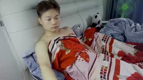 dumeila online show from 06/11/26, 05:38