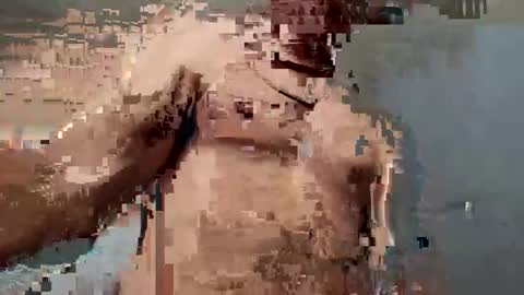 Snapshot of dvsshoes12 chatting on 10/12/25, 11:26 dvsshoes12 online show from 10/12/25, 11:26