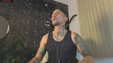 D Y L A N online show from 05/10/26, 03:12