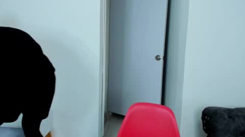 Snapshot of dylantaylor_1 chatting on 10/05/25, 04:00 Dylan Taylor online show from 10/05/25, 04:00