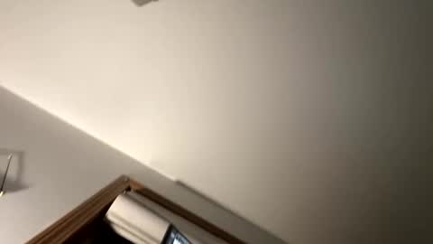 dylareus96 online show from 02/23/25, 01:13