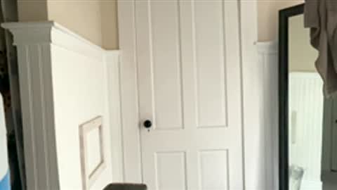 Dynasty online show from 12/17/25, 06:25