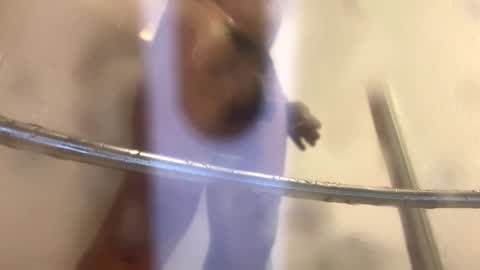 easternjerk online show from 10/20/25, 12:00