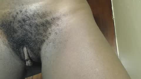 ebony choco2 online show from 12/21/24, 06:52